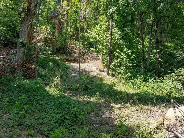 N Highway 71, Mountainburg, AR 72946