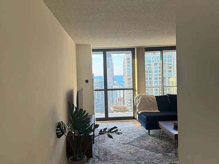 10 E Ontario St #5007 — Photo 22