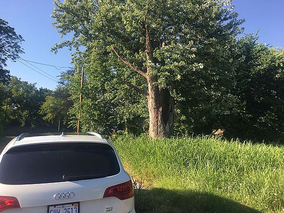 5th image of 215 N 46th West Ave