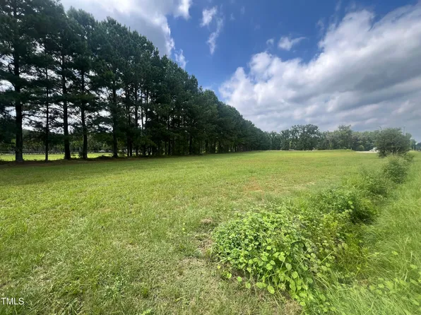 1 Edwards Store Rd #1, Mount Olive, NC 28365
