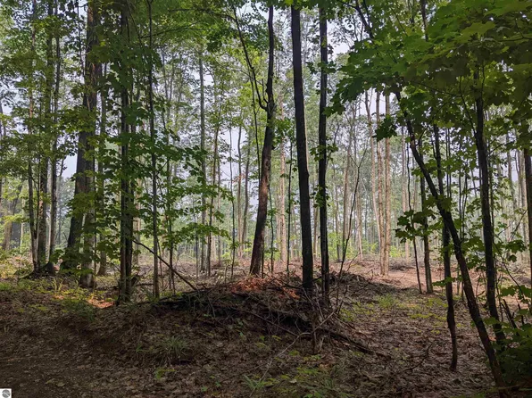 0 Satterly Trl Lot 15, Mancelona, MI 49659