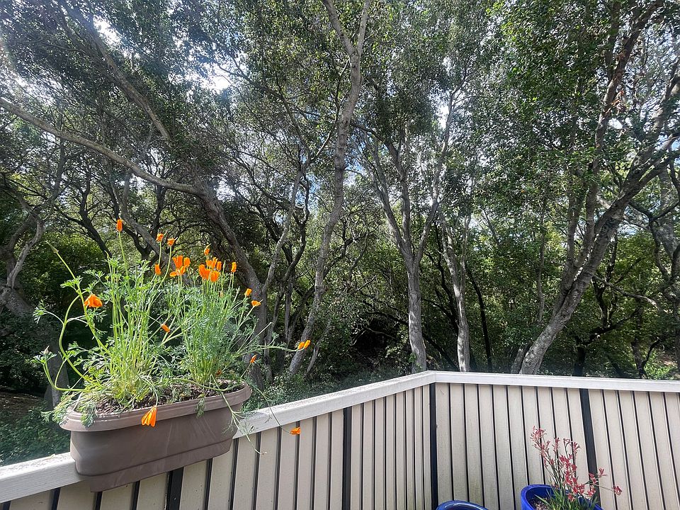 spacious deck. immense privacy. serene. perfect for gardening and relaxation.