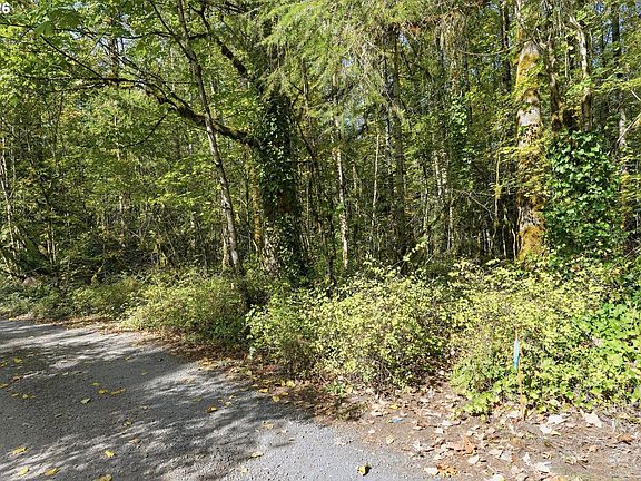 3rd image of E Dewey Rd