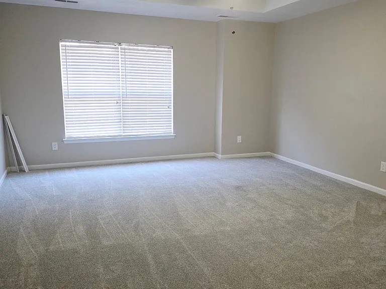 225 Woodbrook Way — Photo 25