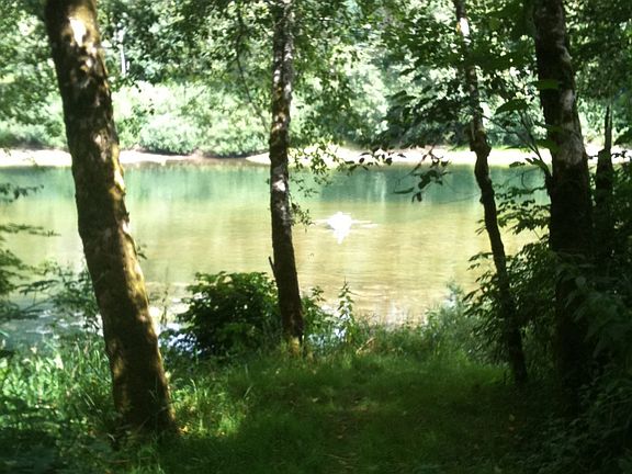 RIVER LOOKING FROM HOME SITE