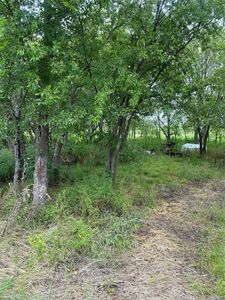 172 Conti Dr, Quinlan, TX, 75474