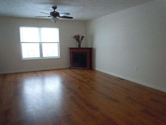 Natural gas fireplace in Living room