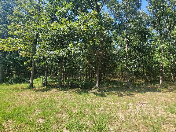 5th image of LOT 509th