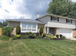 18 Belcourt St, Amherst, NY 14226
