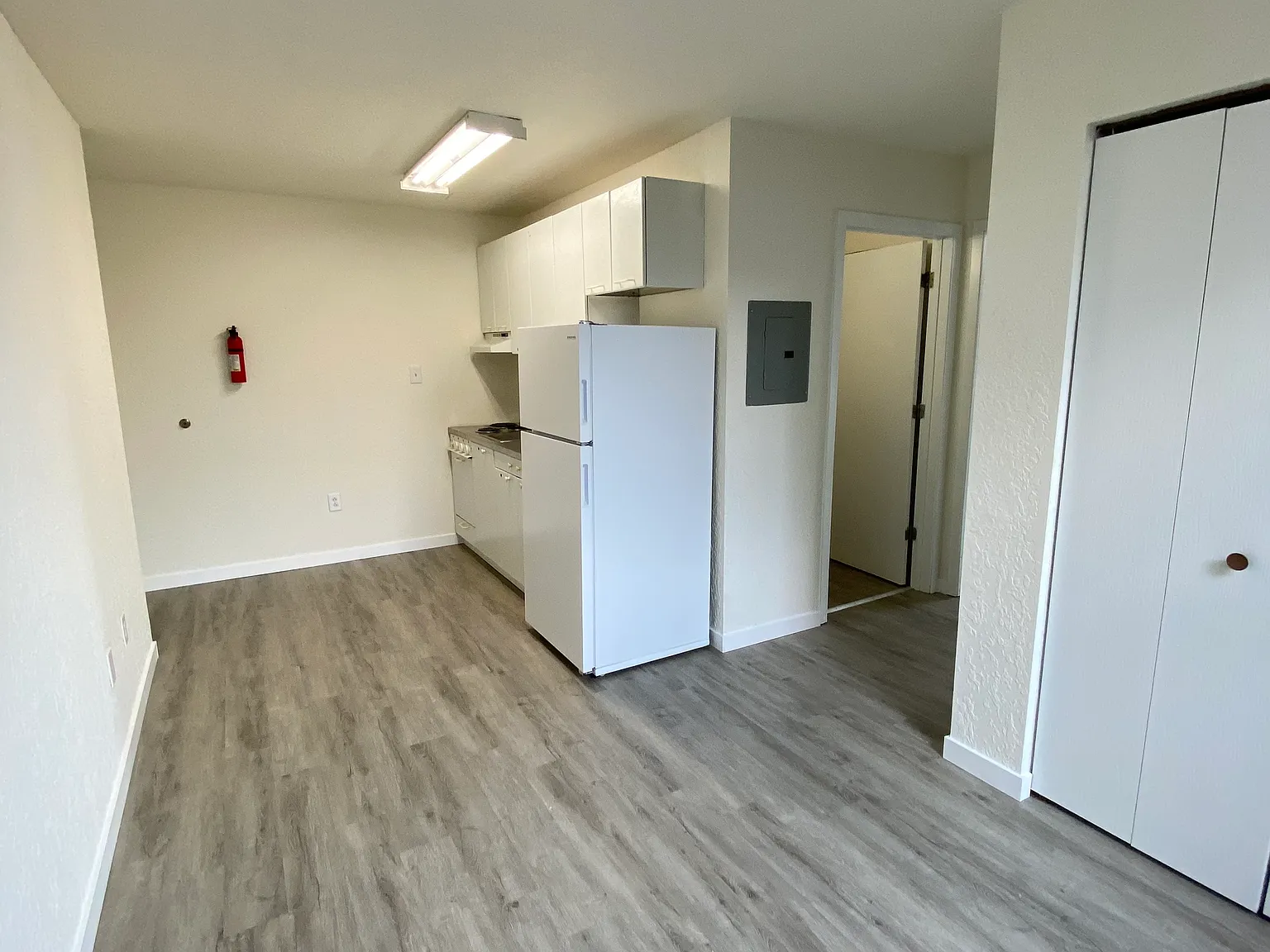 1 bed, $900 — Photo 4