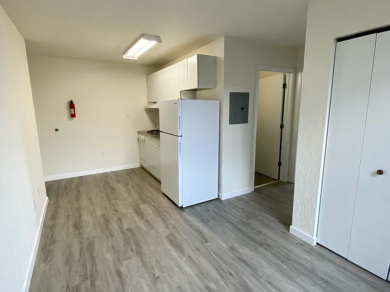 516 Shelden Ave #210 — Photo 4