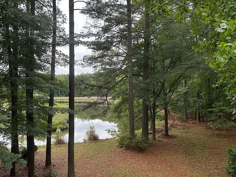 555 Plantation Rd — Photo 15