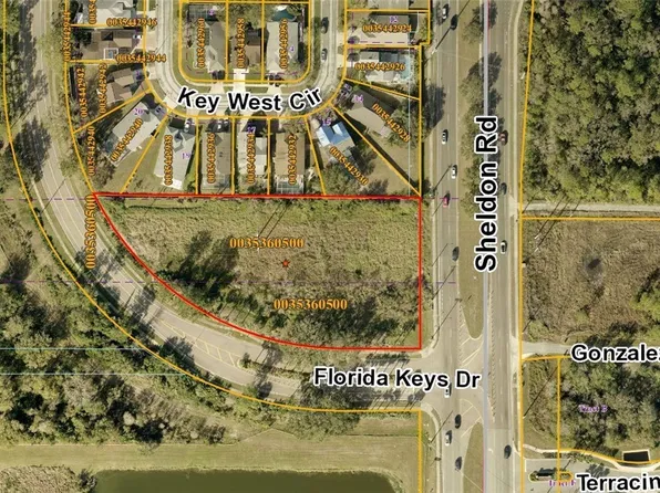 003536-0500 Fawn Ridge Blvd, Tampa, FL 33626