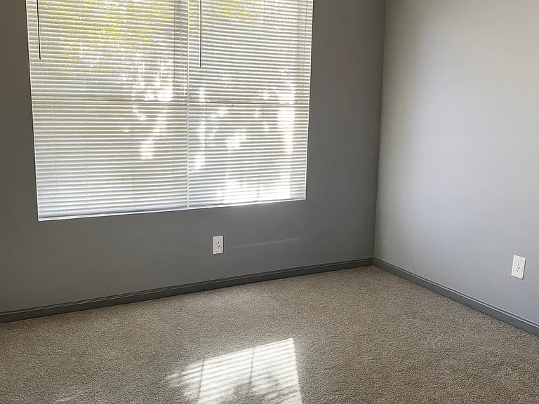 105 Belle Flower Ct — Photo 7