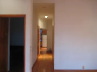 Rented by Location Location Location