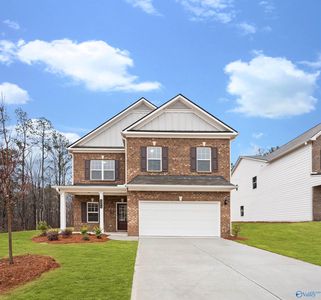 177 Story Ray Dr, New Market, AL, 35761