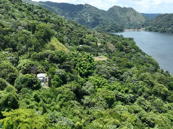 Km #26-PR140, Utuado, PR 00641