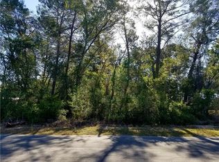 Lykes St, Weeki wachee, FL 34613