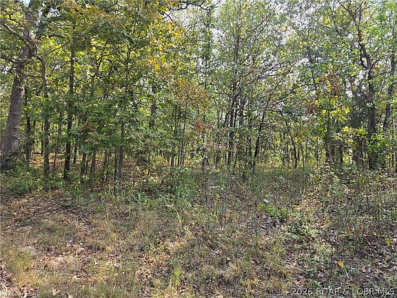 2nd image of Forbes Rd #2556 & 2557