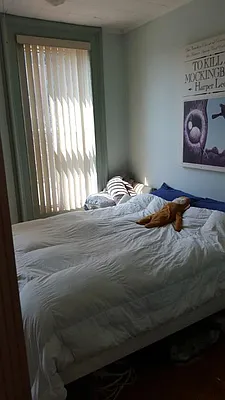 Rented by Brooklyn Bridge | media 13