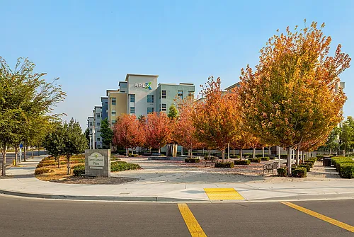 Apex Photo 1