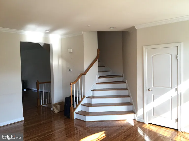 542 Rudbeckia Pl — Photo 2