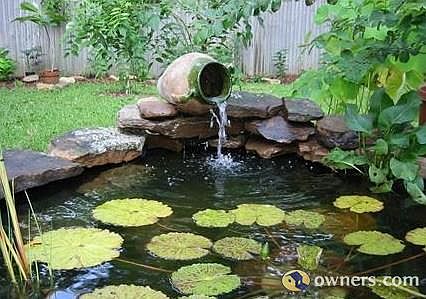 Ornamental Fish Pond
