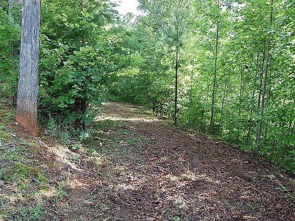 3rd image of Lot 62 Shuttle Mill Crossing