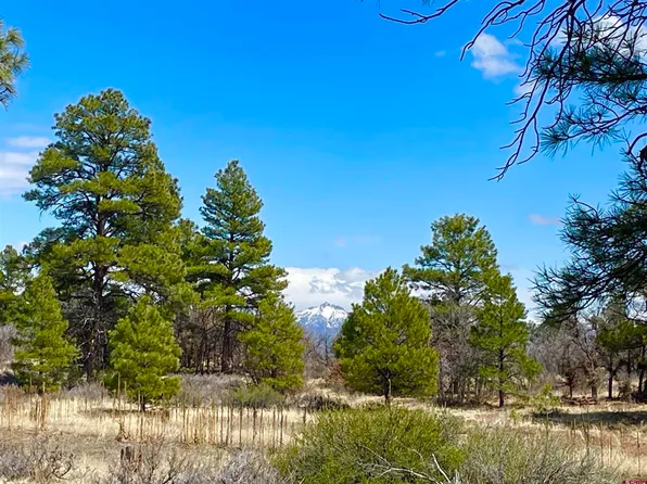 21 Eiffel Court, Pagosa Springs, CO 81147