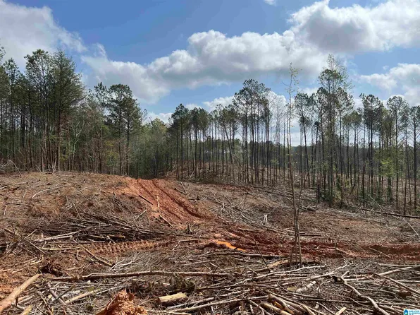 0 County Road 257, Clanton, AL 35046