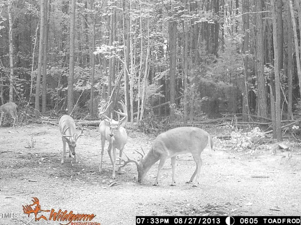 221 Kerr Lake Cole Bridge Rd, Norlina, NC 27563