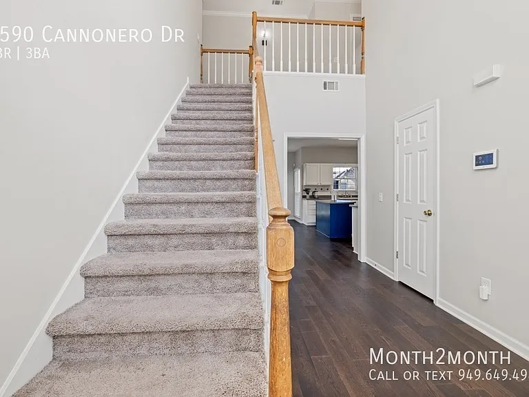 5590 Cannonero Dr — Photo 35