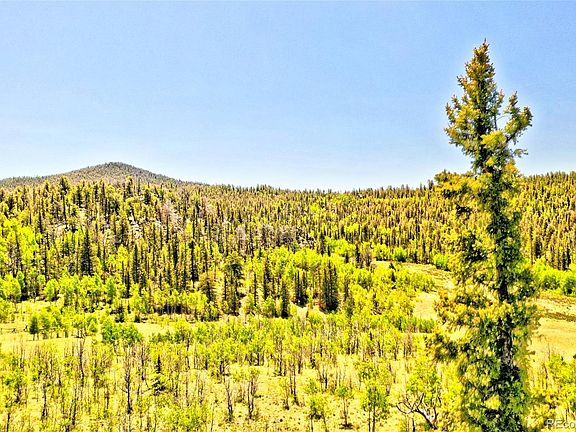 4th image of 445 Warpath Road