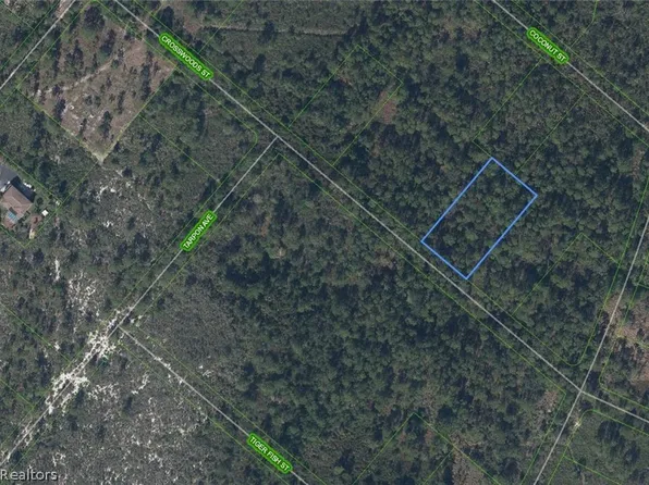 1258 Crosswoods St, Lake Placid, FL 33852