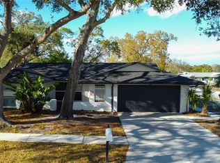 101 Nestlebranch Dr, Safety Harbor, FL 34695