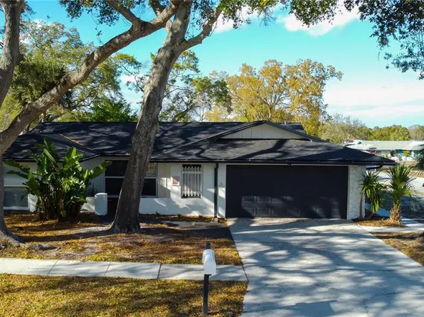 101 Nestlebranch Dr, Safety Harbor, FL 34695