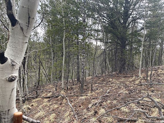 3rd image of 648 Horseshoe Dr