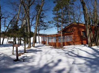 9313 Skinner Trl, Grayling, MI 49738