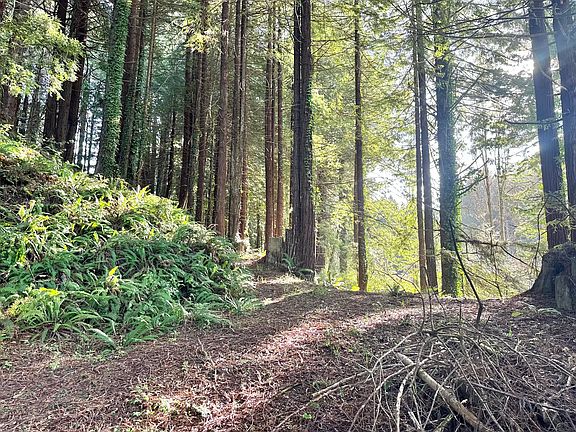 2nd image of 0 Spears Rd