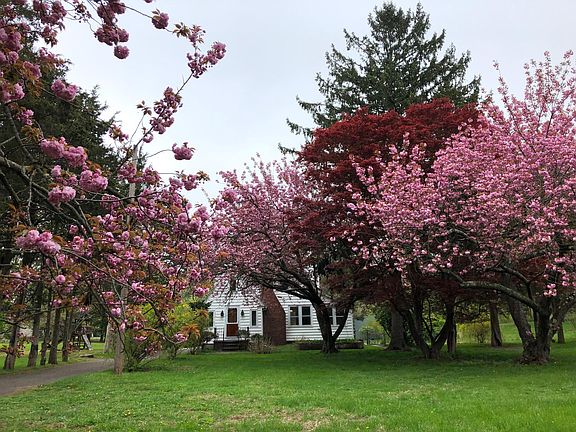 flowering trees and shrubs throughout the spring and summer