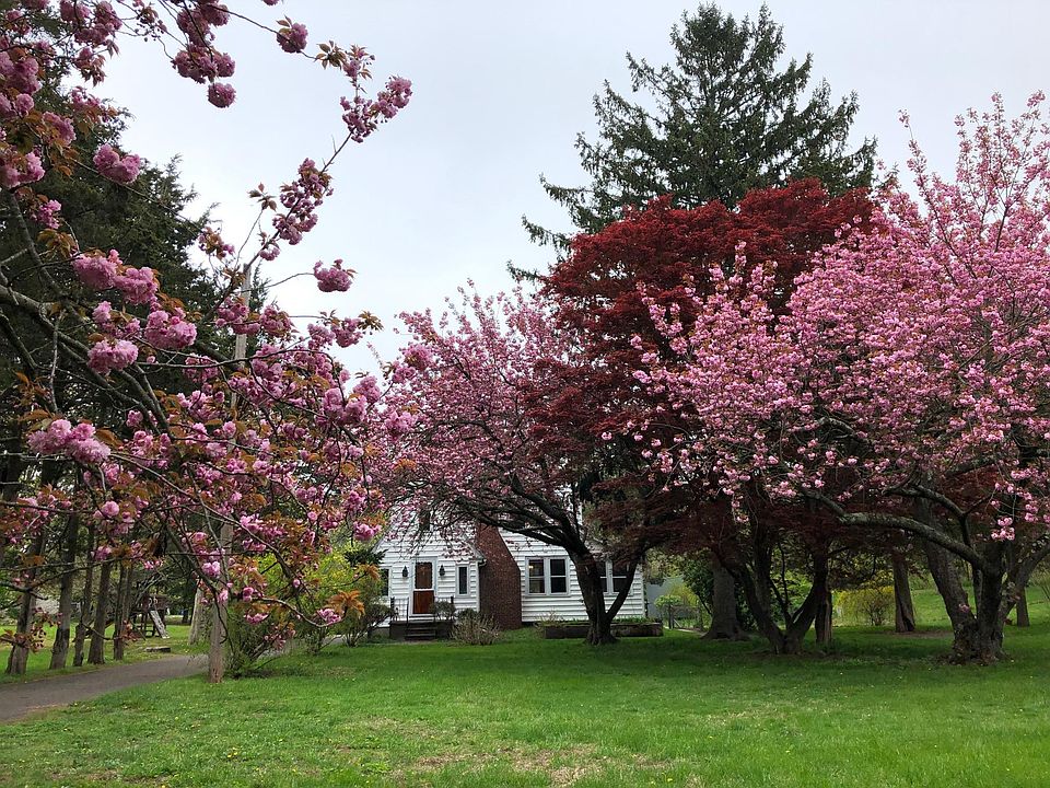 flowering trees and shrubs throughout the spring and summer