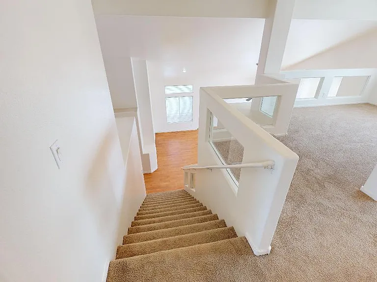 10005 Mystic Dance St — Photo 23