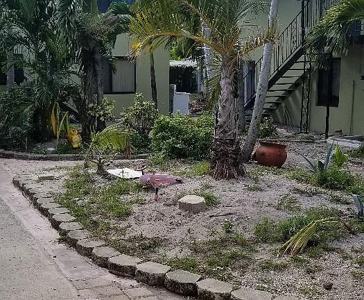 4th image of 1113 SW 15th Ter #11