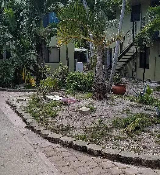 1113 SW 15th Ter #11 — Photo 4