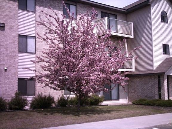 Spring is finally here!