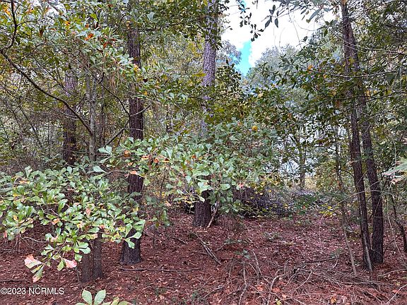 2nd image of 1 Matilda Dr Tract 1