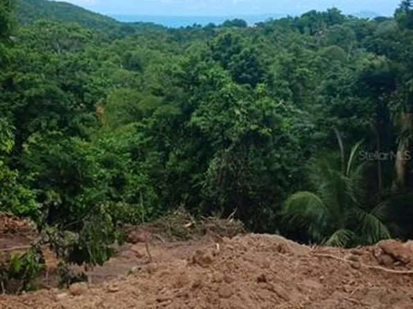 Bo Mariana, Humacao, PR 00791