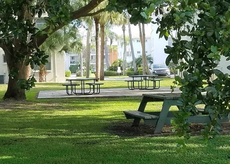 Flamingo Garden — Photo 10