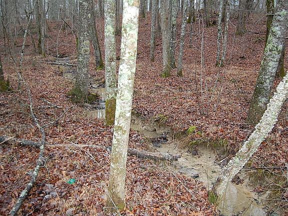 2nd image of 9 Twin Oaks Rd