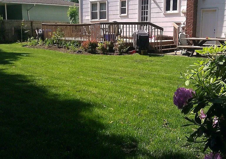 Spacious fenced in back yard, great for pets.